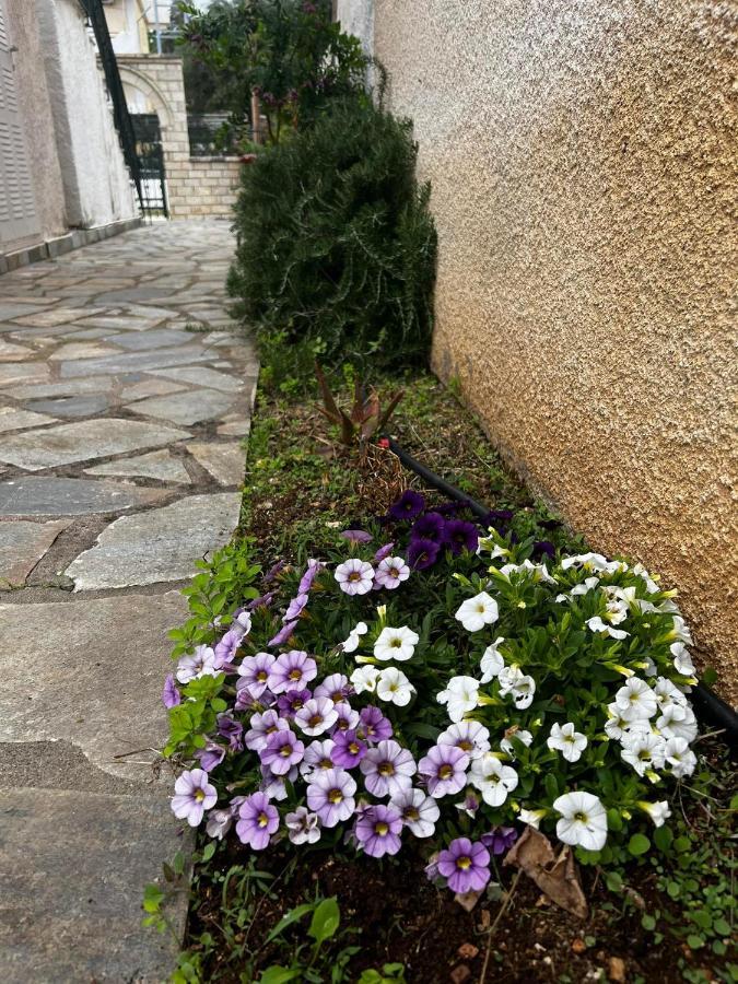 Dionysus Apartments & Studios Sivota  Exterior photo