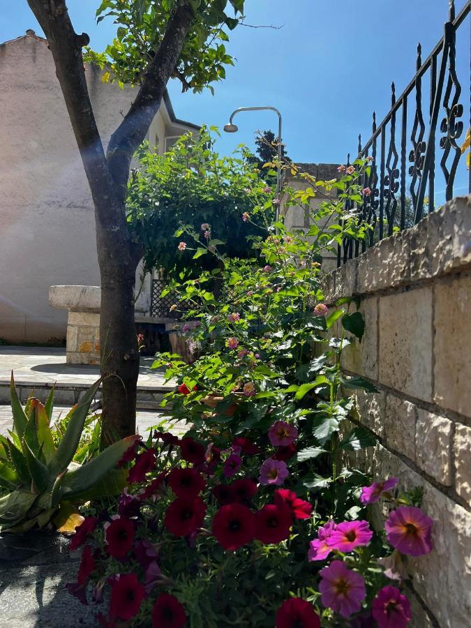 Dionysus Apartments & Studios Sivota  Exterior photo